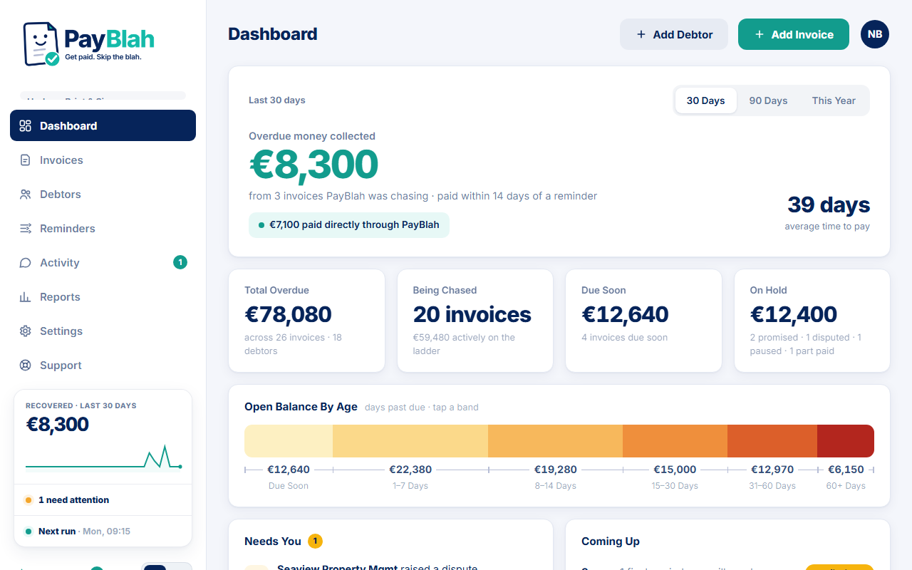 PayBlah dashboard overview