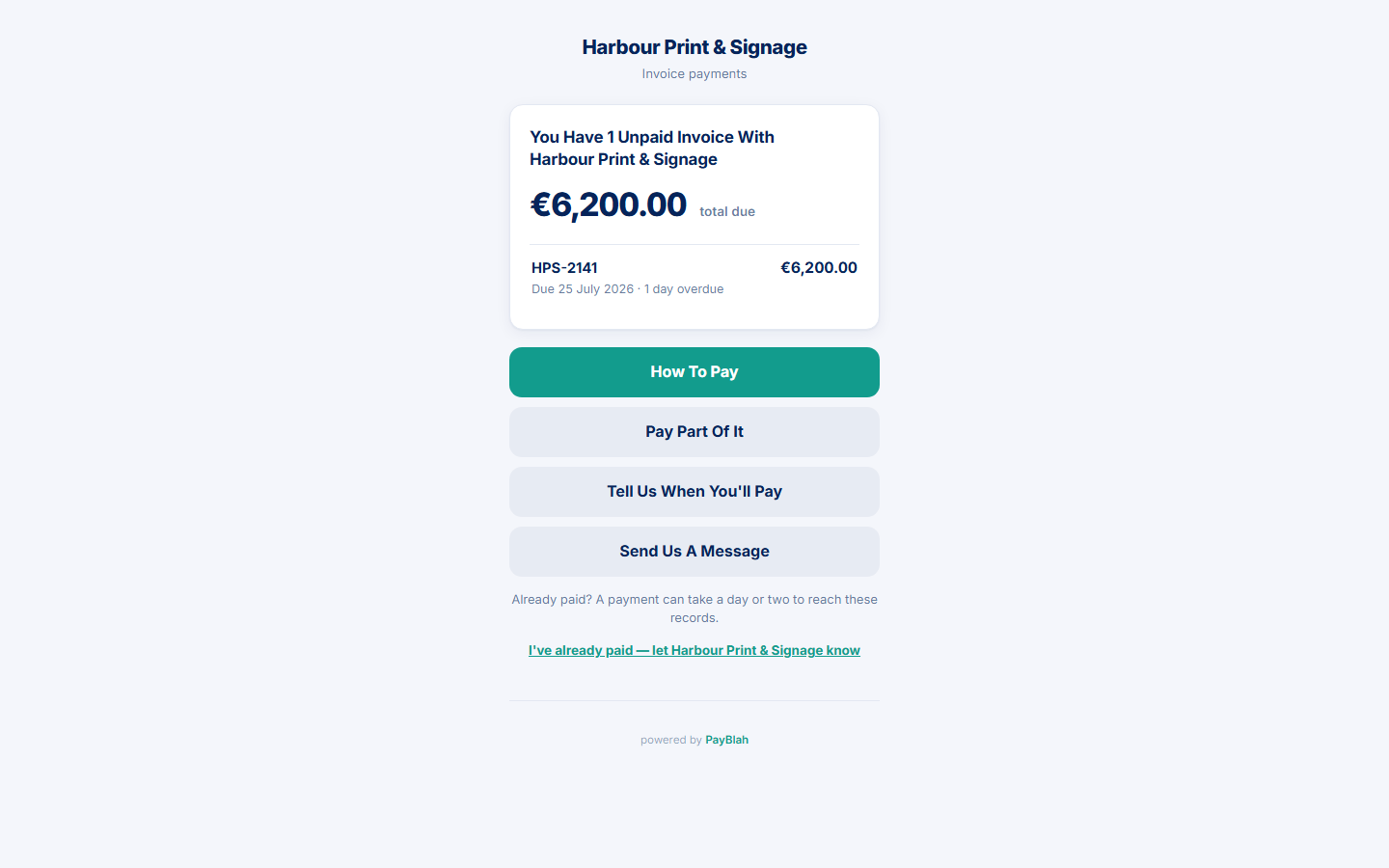 Debtor portal invoice view in the customer branding